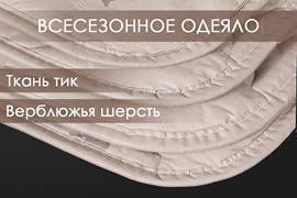 Одеяло верблюжья шерсть тик Реноме